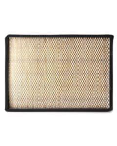 Fleetguard AF55787 Air Filter